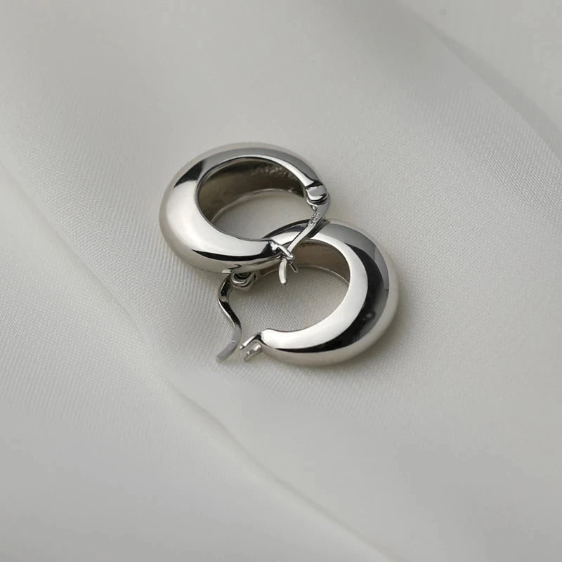 925 Sterling Silver plated Chunky Hoop Earrings for Women Geometric Circle Punk Ear Jewelry Party Gifts 2021 New Dropshipping