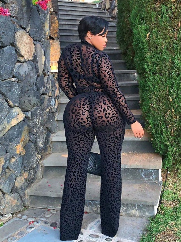 Womens Jumpsuits and Rompers Long Sleeve Sexy Transparent Lace Jumpsuit Club Outfit Black Jumpsuits Wholesale Dropshipping