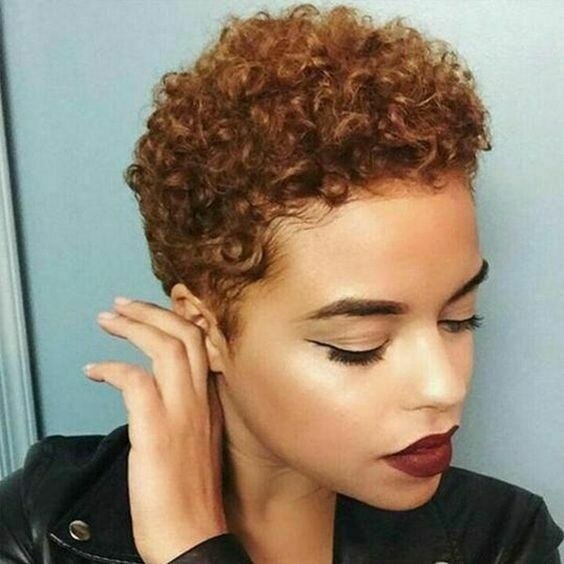 Fashion Short Kinky Curly Wig for Black Women Blonde To Black Synthetic Afro Curly Wig Natural As Real Hair Cosplay Party Peruca